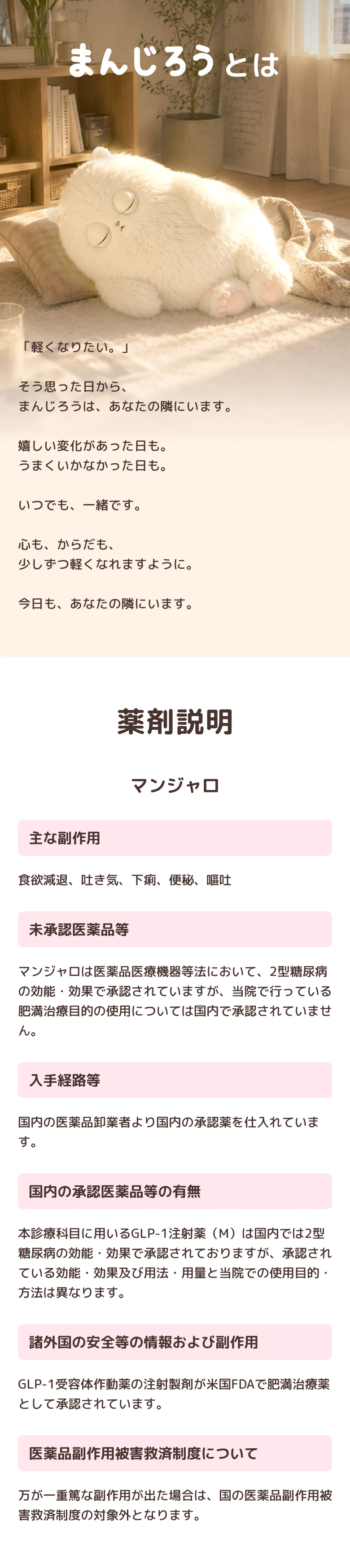 まんじろうとは、薬剤説明(マンジャロ)